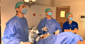 Surgical Team - Dr. Rene Armenta Valenzuela