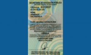 Secretaria-de-Educacion-Publica-Cedula-Dr.-Rene-Armenta-Valenzuela-768x469