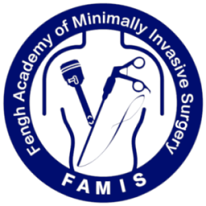 FAMIS (Fengh Academy of Minimally Invasive Surgery)